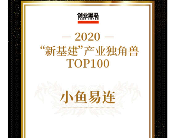 小魚易連榮膺“新基建”產業獨角獸，提供雲視頻解決方案