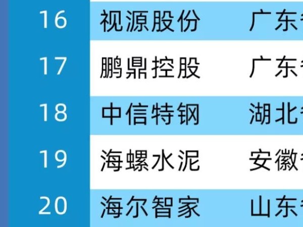 2020年中國製造業價值500強，MAXHUB母公司視源股份位居第16位